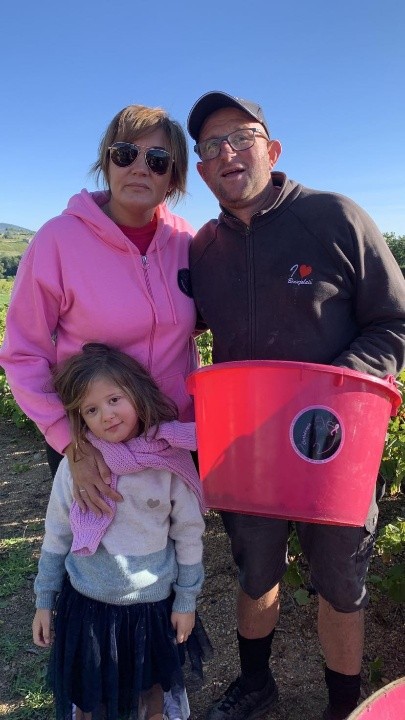 Vendanges roses au domaine Béroujon