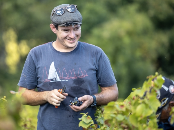 Vigneron engagé pour l'environnement et une viticulture raisonnée 