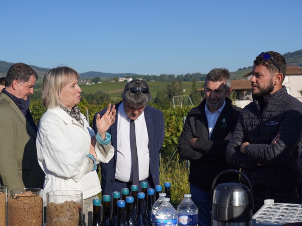 Beaujolais : remontées de terrain pour la préfète de région