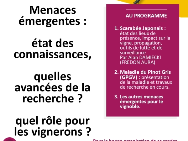 Scarabée japonais, maladie du pinot gris : quelles menaces émergentes pour le vignoble ?