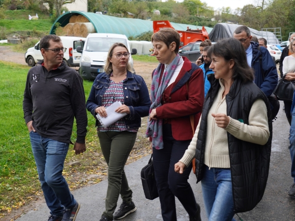 FCO : la préfète face à une crise qui menace l'élevage