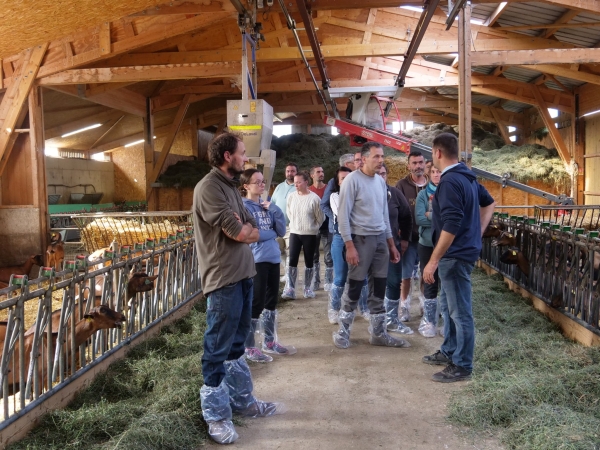 Des chevreaux bien valorisés