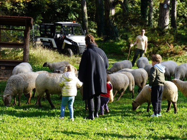 La petite transhumance : quand la campagne est en ville