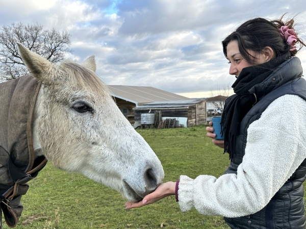 Le cheval, ce thérapeute inattendu qui réconcilie le corps et l’esprit