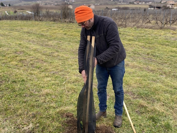 Pacte en faveur de la haie : pour reprendre la nature en main