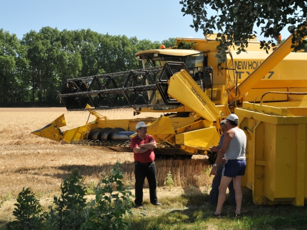 Céréales : Marc Fesneau annonce des mesures