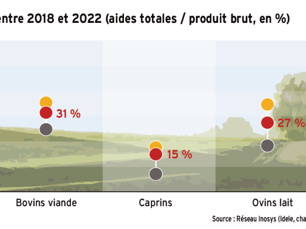 Les ovins et bovins viande sont les plus dépendants des aides Pac