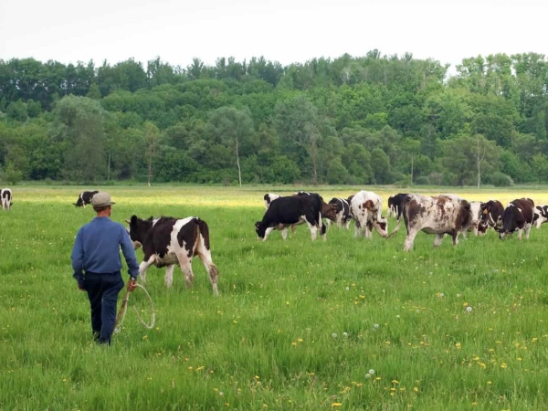 Les agriculteurs toujours inquiets