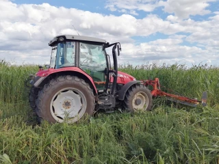 Raisonner l’implantation des couverts végétaux pour maximiser les gains sur la culture suivante