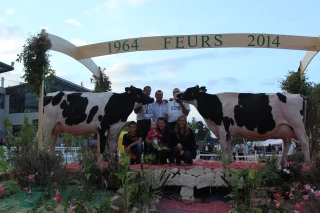 Concours régional holstein : rendez-vous ce 5 avril dans la Loire