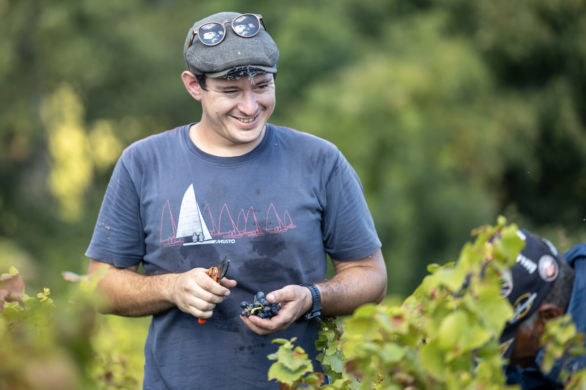 Vigneron engagé pour l'environnement et une viticulture raisonnée 