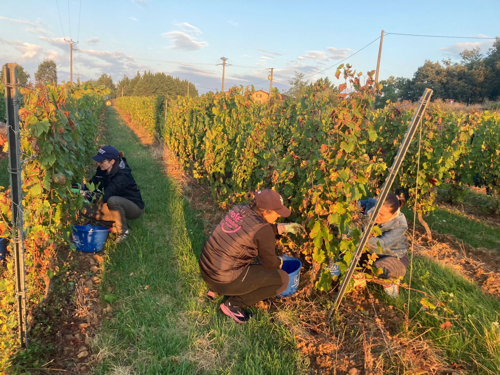 Bilan optimiste pour le domaine Coquard