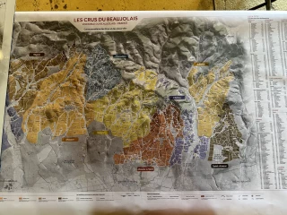 Une nouvelle cartographie du vignoble Beaujolais en cours