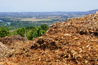 Marc de raisins, un allié pour le sol