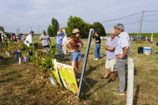 L'innovation viticole se montre