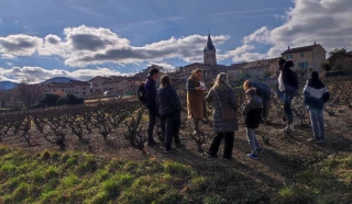 Comprendre la vigne et la vivre dès le plus jeune âge