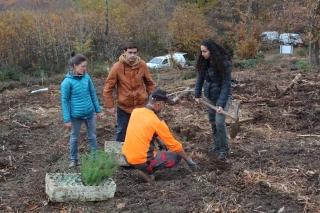 En marche vers la forêt du futur à Pollionnay