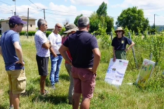 Adaptation climatique et conservation de cépages