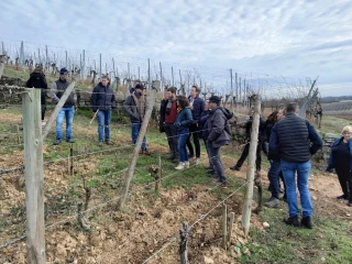 Quand le Rhône rencontre l’Alsace