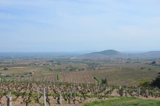 Dynamiser le terroir et le valoriser