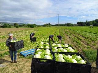 Des agriculteurs tournés vers les autres