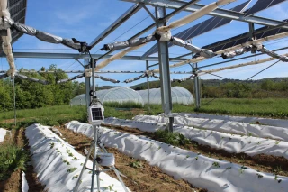 De l’agrivoltaïsme en test au lycée de Dardilly