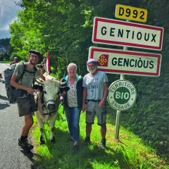 Modestine, la génisse qui marche contre le cancer