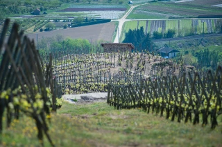 En soutien de l’agriculture