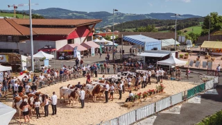 La fête à Pomeys les 5 et 6 juillet