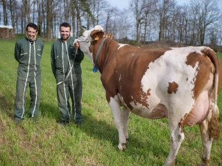 Des chances suprêmes au Salon de l’agriculture