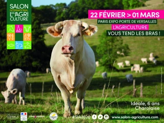 Le Salon de l’agriculture en affiches