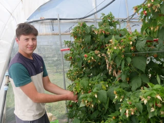 Saison correcte en petits fruits