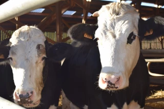 Au sein des filières agricoles du Rhône, l’inquiétude grandit