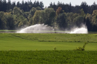 Irrigation d’arrière-saison