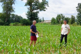 Fertilisation à l’urine humaine