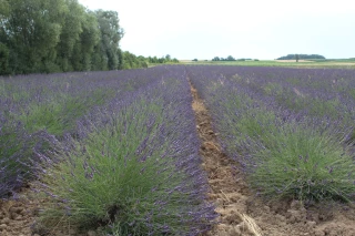 De la Drôme dans le Rhône