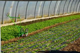 La ferme France a perdu 1,9 % de sa valeur en 2020