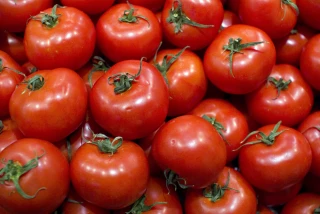 Virus de la tomate : premier cas confirmé