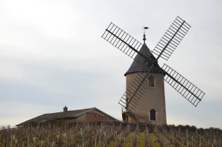 Le cru moulin-à-vent mise sur l’œnotourisme