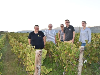 Terra Vitis certifie « de la vigne au verre »