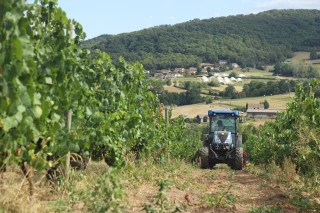 La demande en produits issus de l’agriculture biologique diminue