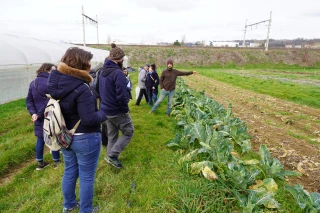 Maraichage : en immersion au Boule d’Or