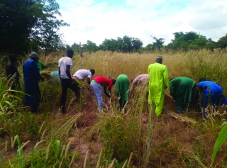 Protéger les agricultures à travers le monde