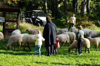 La petite transhumance : quand la campagne est en ville