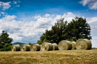 Quel avenir pour l'agriculture du plateau de Condrieu ?