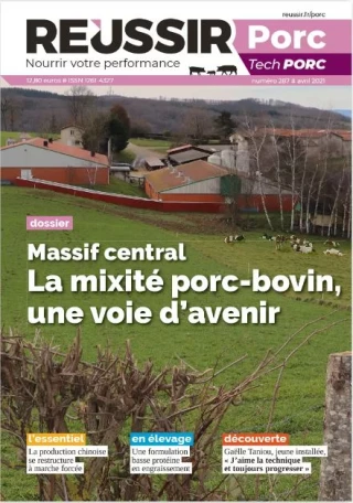 Réussir Porc