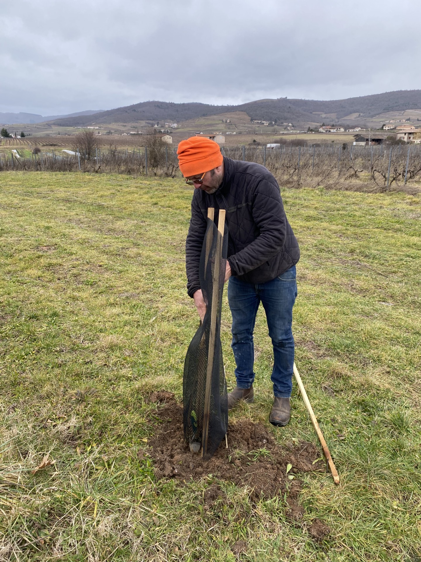 Pacte en faveur de la haie : pour reprendre la nature en main