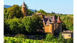 Le Beaujolais a désormais son Petit Futé