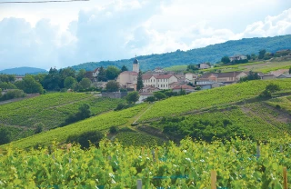 Le cru chiroubles veut charmer les consommateurs outre-Atlantique