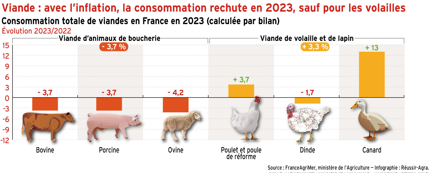 La consommation de viande rechute en 2023, sauf pour les volailles